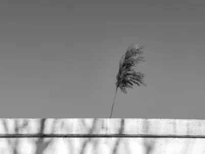 Казино Класи Слотс Мобилно приложение